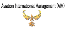 Aviation International Management Inc